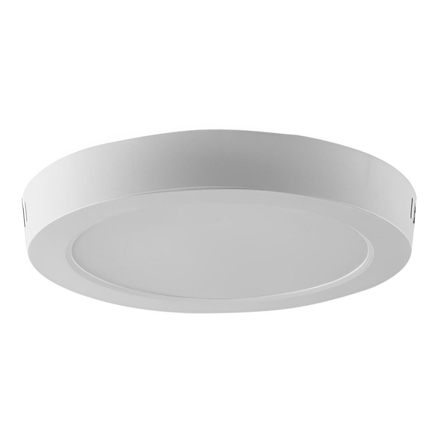 LED Stropna svetilka LED/24W/230V 6500K pr. 28,8 cm