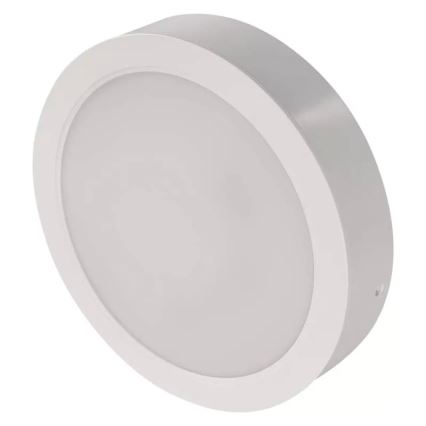 LED stropna svetilka LED/24W/230V premer 22 cm bela