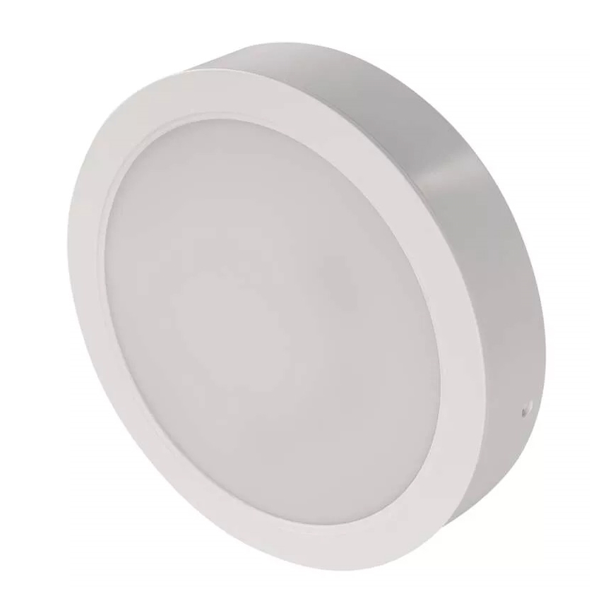 LED stropna svetilka LED/24W/230V premer 22 cm bela