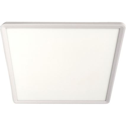 LED stropna svetilka LED/32W/230V 3000/4000/6500K 40x40 cm bela
