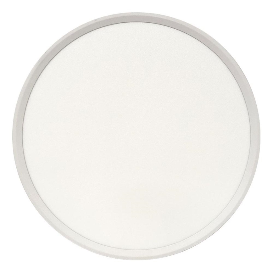 LED stropna svetilka LED/32W/230V 3000/4000/6500K premer 40 cm bela