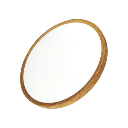 LED stropna svetilka LED/32W/230V 3000/4000/6500K premer 40 cm bež