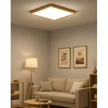 LED stropna svetilka LED/40W/230V 3000/4000/6500K 50x50 cm bežna