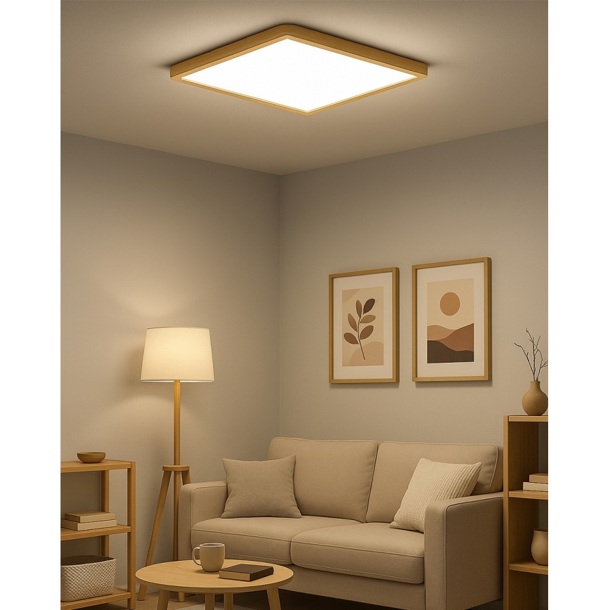 LED stropna svetilka LED/40W/230V 3000/4000/6500K 50x50 cm bežna