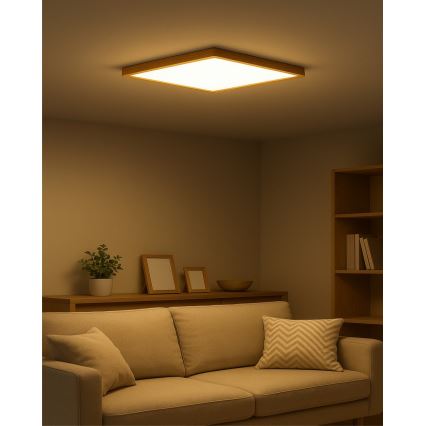 LED stropna svetilka LED/40W/230V 3000/4000/6500K 50x50 cm bežna