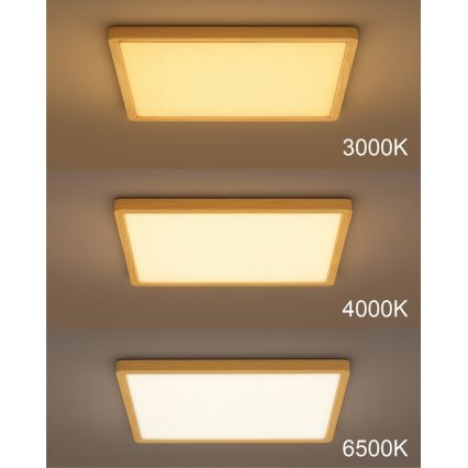 LED stropna svetilka LED/40W/230V 3000/4000/6500K 50x50 cm bežna