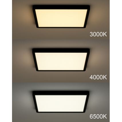LED stropna svetilka LED/40W/230V 3000/4000/6500K 50x50 cm črna