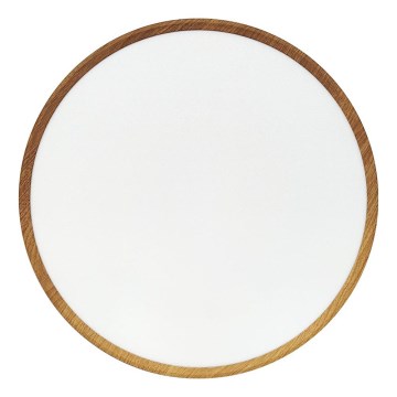 LED stropna svetilka LED/40W/230V 3000/4000/6500K, premer 50 cm, bež
