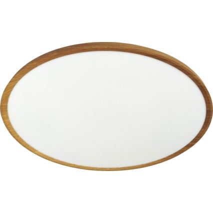 LED stropna svetilka LED/40W/230V 3000/4000/6500K, premer 50 cm, bež