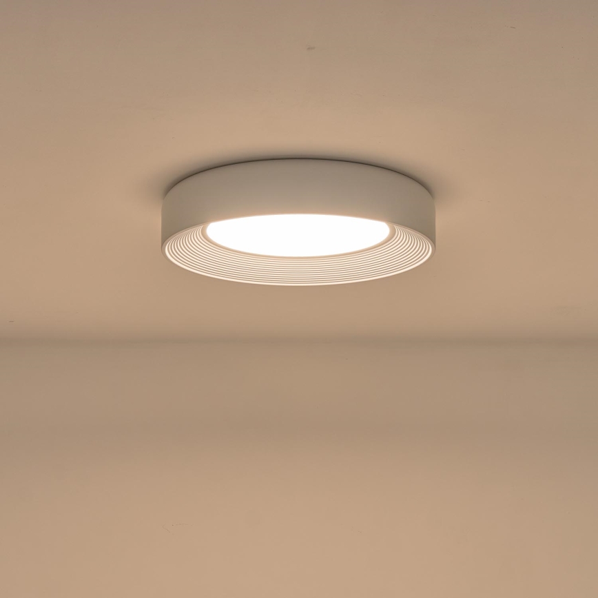 LED Stropna svetilka LED/40W/230V 3000K bela pr. 50 cm