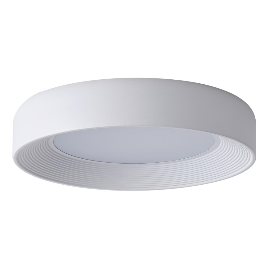 LED Stropna svetilka LED/40W/230V 3000K bela pr. 50 cm