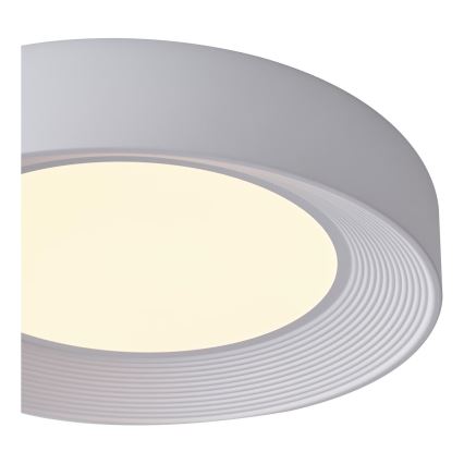 LED Stropna svetilka LED/40W/230V 3000K bela pr. 50 cm