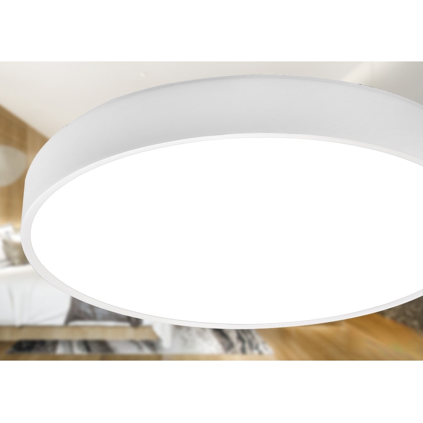 LED Stropna svetilka LED/40W/230V 4000K pr. 40 cm bela