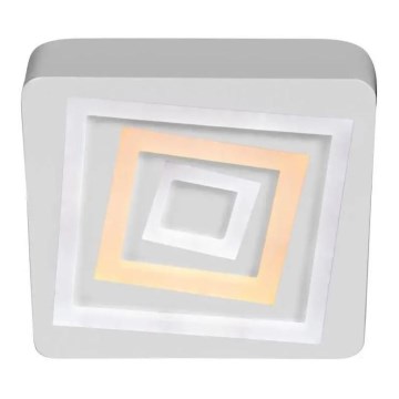 LED Stropna svetilka LED/58W/230V 3000/4000/6000K