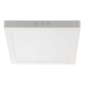 LED Stropna svetilka LED/6W/230V 4000K 12x12 cm bela