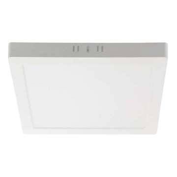 LED Stropna svetilka LED/6W/230V 4000K 12x12 cm bela