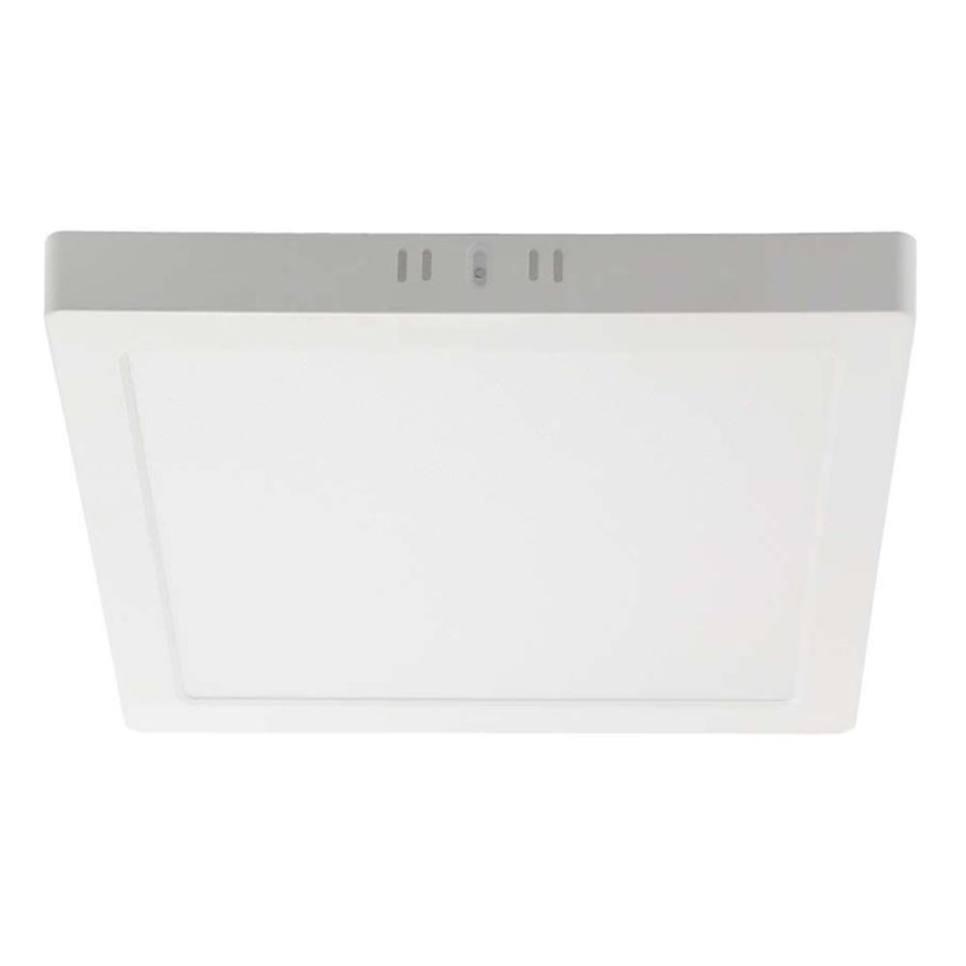 LED Stropna svetilka LED/6W/230V 4000K 12x12 cm bela
