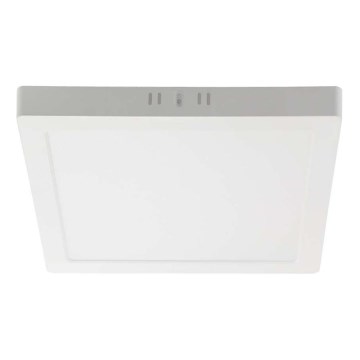LED Stropna svetilka LED/6W/230V 6500K 12x12 cm bela
