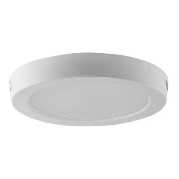 LED Stropna svetilka LED/6W/230V 6500K bela