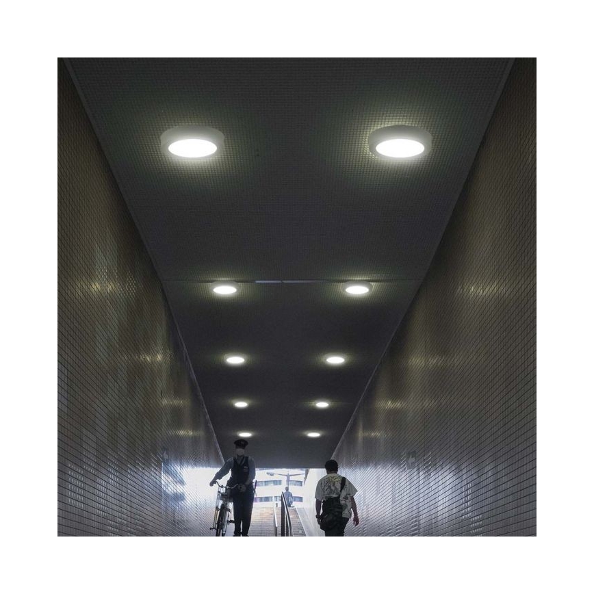 LED Stropna svetilka LED/6W/230V 6500K bela