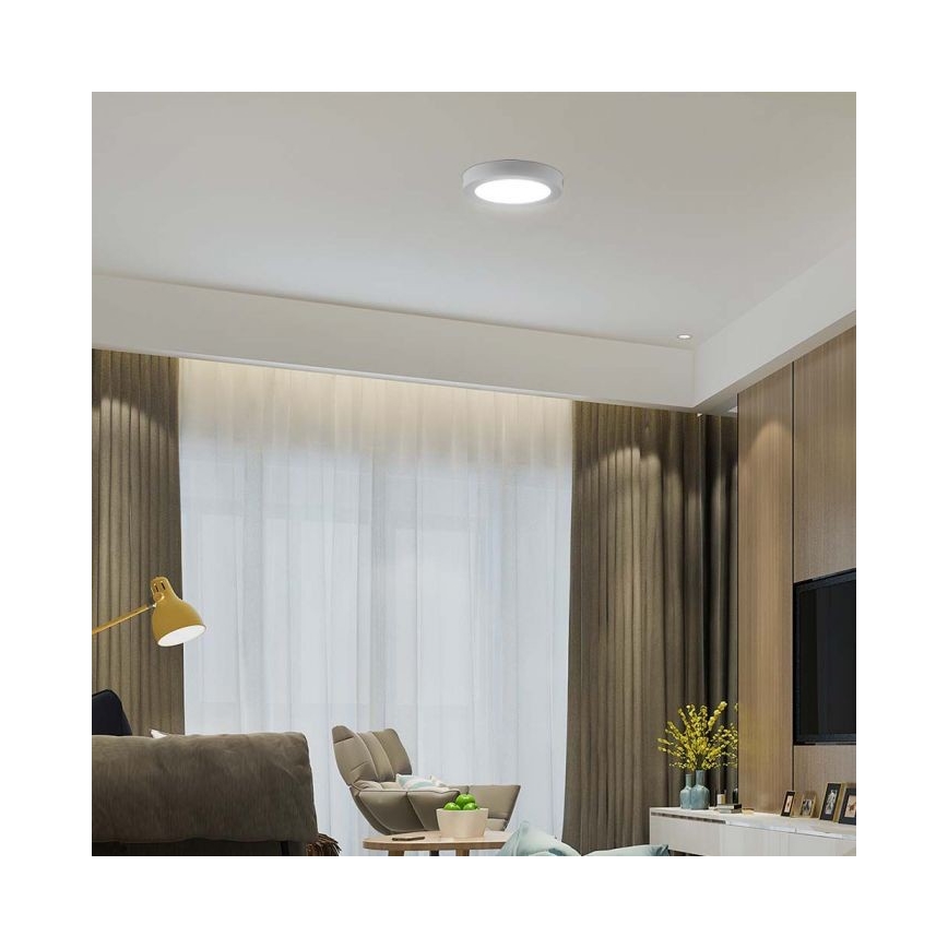 LED Stropna svetilka LED/6W/230V 6500K bela