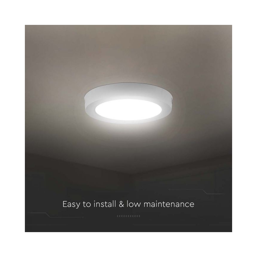 LED Stropna svetilka LED/6W/230V 6500K bela
