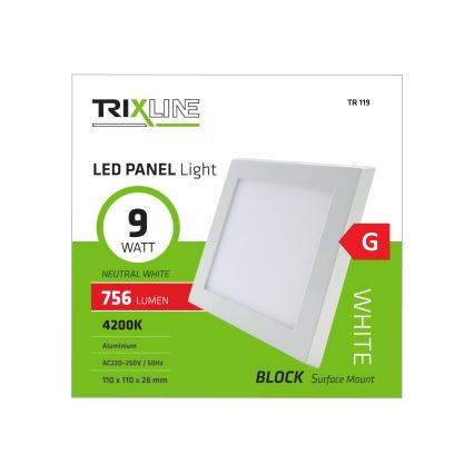 LED Stropna svetilka LED/9W/230V 4200K