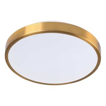 LED stropna svetilka LIBRA LED/15W/230V 4000K premer 29 cm zlata