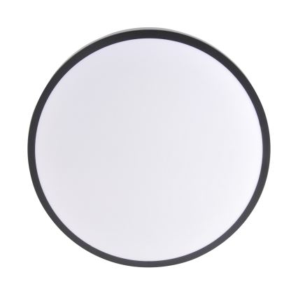 LED stropna svetilka LIBRA LED/15W/230V 4000K Ø 29 cm črna