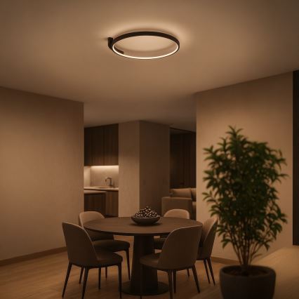 LED stropna svetilka LUNA LED/18W/230V premer 42,5 cm črna