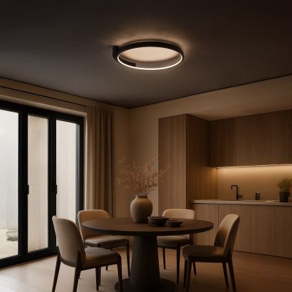 LED stropna svetilka LUNA LED/18W/230V premer 42,5 cm črna