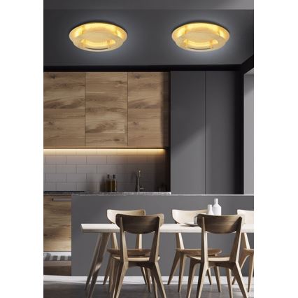 LED Stropna svetilka MERPLE LED/18W/230V zlata