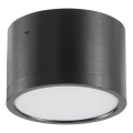 LED Stropna svetilka MIRELLA 1xGX53/6W/230V črna