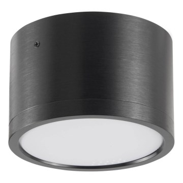 LED Stropna svetilka MIRELLA 1xGX53/6W/230V črna