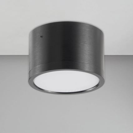 LED Stropna svetilka MIRELLA 1xGX53/6W/230V črna
