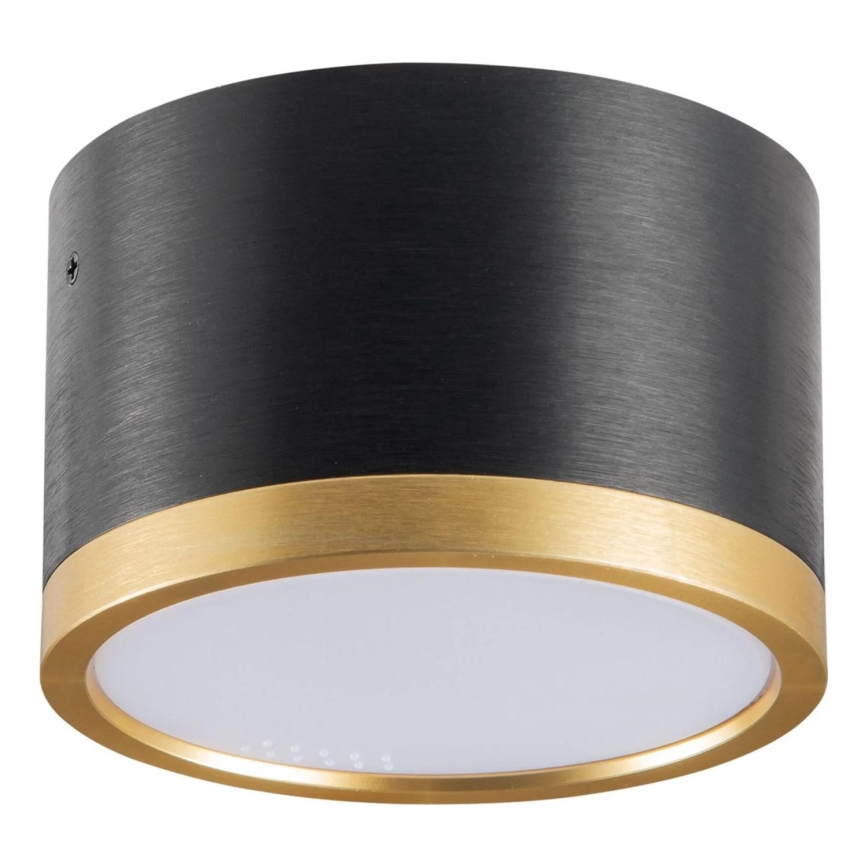 LED Stropna svetilka MIRELLA 1xGX53/6W/230V črna/zlata