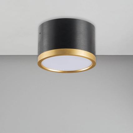 LED Stropna svetilka MIRELLA 1xGX53/6W/230V črna/zlata