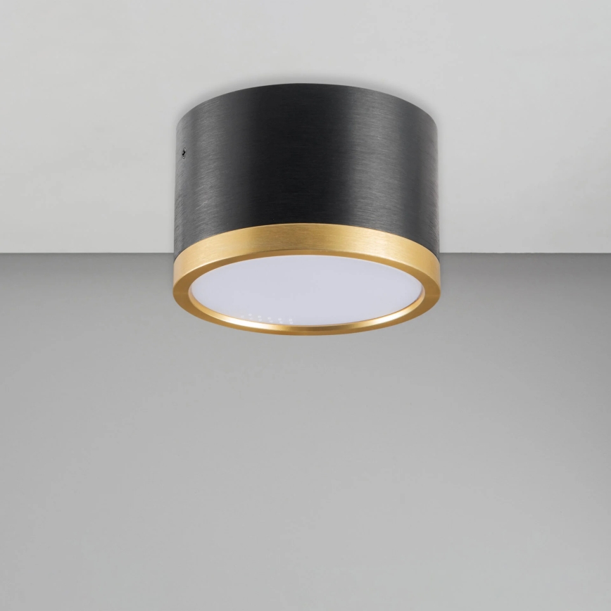 LED Stropna svetilka MIRELLA 1xGX53/6W/230V črna/zlata