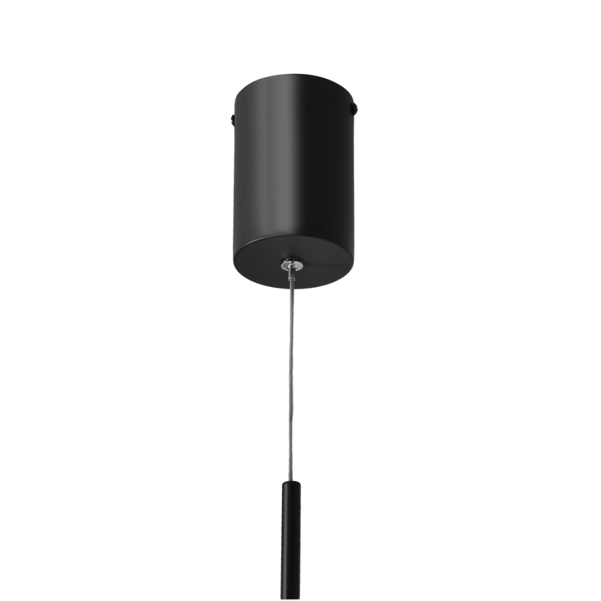 LED Stropna svetilka na vrvici PUMA LED/10W/230V premer 14 cm črna