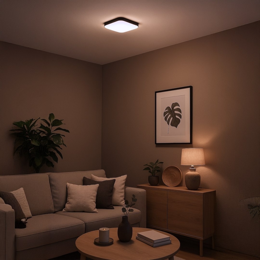 LED stropna svetilka NEMO LED/11W/230V 26x26 cm črna