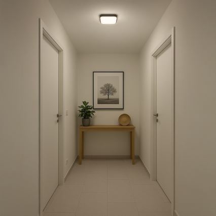 LED stropna svetilka NEMO LED/11W/230V 26x26 cm črna