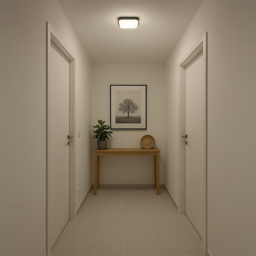 LED stropna svetilka NEMO LED/11W/230V 26x26 cm črna