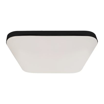 LED stropna svetilka NEMO LED/36W/230V 50x50 cm črna