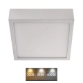 LED Stropna svetilka NEXXO LED/12,5W/230V 3000/3500/4000K 17x17 cm bela