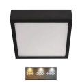 LED Stropna svetilka NEXXO LED/12,5W/230V 3000/3500/4000K 17x17 cm črna