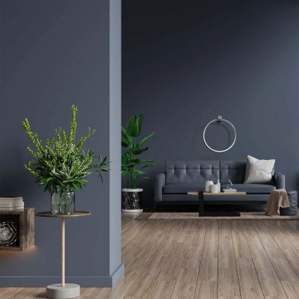 LED Stropna svetilka NOEMI LED/20W/230V 4000K pr. 50 cm mat krom