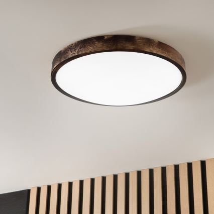 LED stropna svetilka OAK SMOKY SLIM LED/36W/230V 4000K premer 47 cm hrast/temno rjava