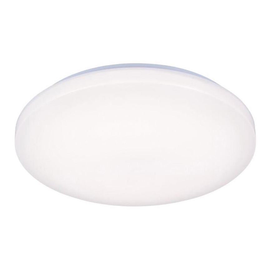 LED Stropna svetilka OPAL LED/50W/176-264V