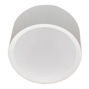 LED Stropna svetilka OSRAM PERCI LED/20W/230V IP40 2700K bela