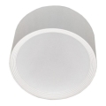 LED Stropna svetilka PERCI LED/30W/230V IP40 2700K bela
